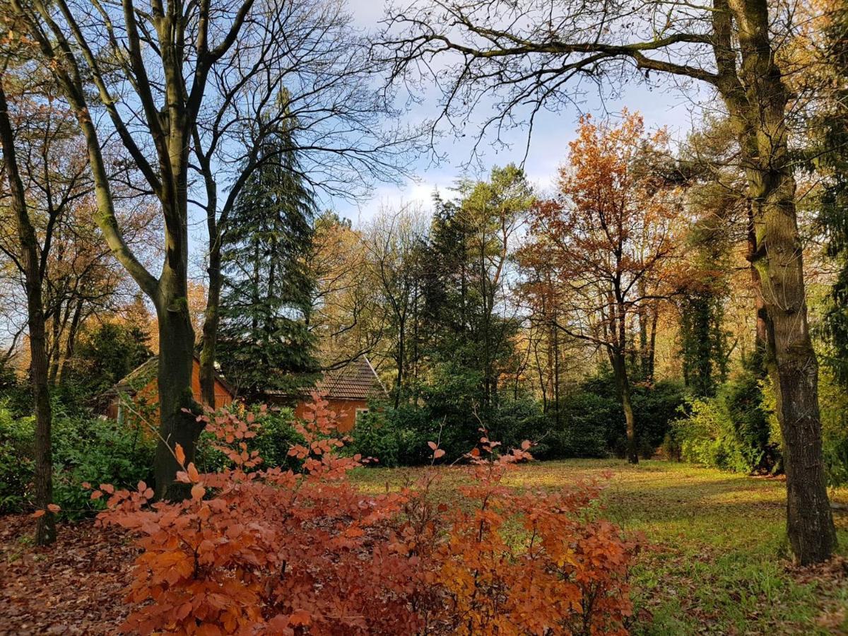 Chalet Forest Villa Baarle-Nassau Kültér fotó